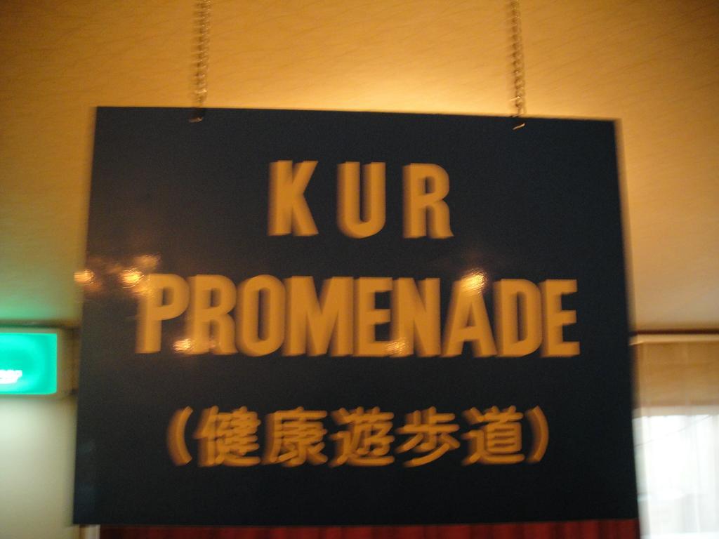 Kurhaus Ishibashi Ryokan Shimoda  Luaran gambar